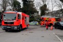 Einsatz BF Flora Botanischer Garten Mobile Arbeitsbuehne in Schraeglage P03